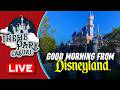 Good Morning From DISNEYLAND DISNEYLAND LIVE Rides Shows Fun