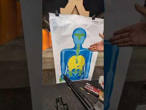 New Springfield Armory Echelon Gun Review