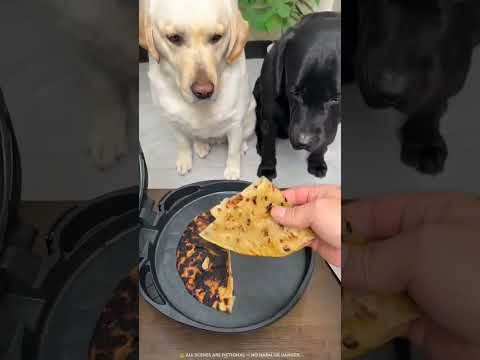 Burnt Bread Drama 😂🍞🔥