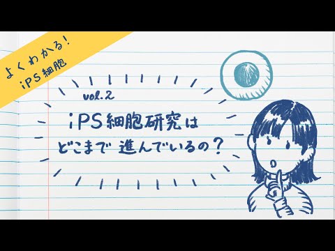 IPSについて詳しく解説