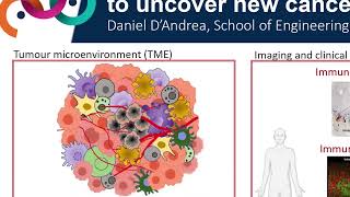 Integrating ‘omics technologies with AI to uncover new cancer therapeutics - Daniel D'Andrea