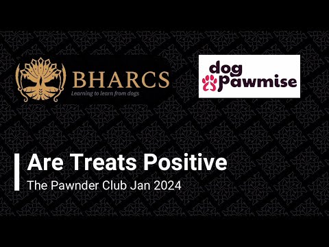 Are Rewards Positive? - The Pawnder Club Discussion (January 2024)
