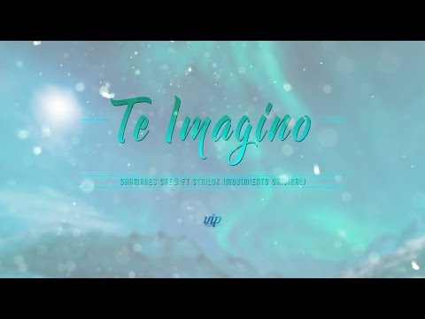 Shamanes Crew feat Stailok (Movimiento Original) - Te imagino (video lyric)