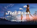 Tere Naina Slow Reverb Jai Ho Ft Salman Khan