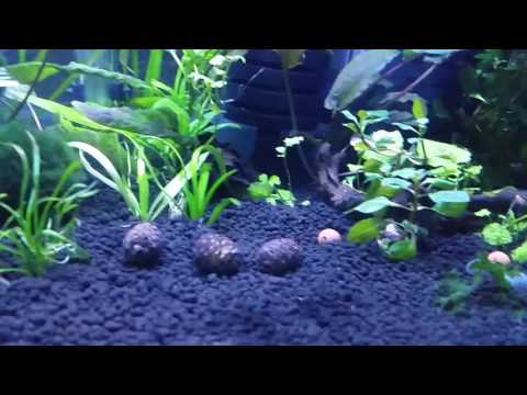 Watch Video on YouTube