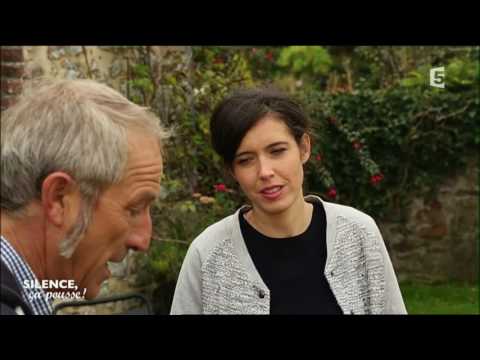 Conseils pratiques : planter un cyclamène - Silence, ça pousse !