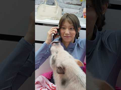 С кем Вика ушла на свидание? Намбэр уан - ВИКА ЧЖАН #vikazang #викачжан #pov #виказанг