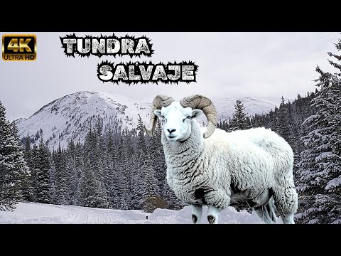 Wildlife in the Tundra: Surviving on Earth's Final Frontier