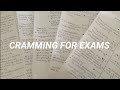 A day in my life cramming for exams | study vlog
