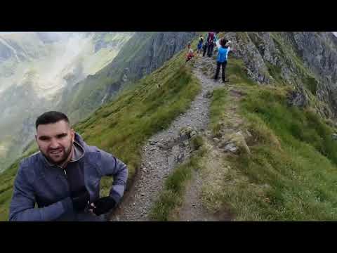 NUCSOARA - stana lui BURNEI - vf. VISTEA - vf. MOLDOVEANU - vf. ROSU - valea GALBENA - NUCSOARA