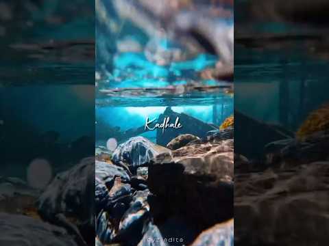 hindi ishq hai tamil kadhale song WhatsApp status | nodivalandava song lyrics edit |