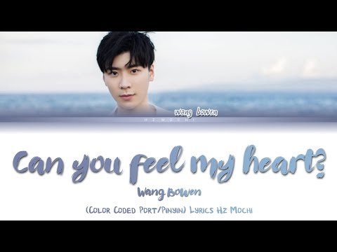 Wang Bowen (王寶文|) - Can you see my heart (你能看到我的心吗) [Color Coded Tradução/Pinyin] Lyrics: Hz Mochi