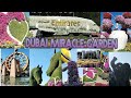 Miracle Garden Dubai 2024 The World S Largest Natural Flower Garden Best Quran Recitation