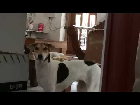 luna's confusion 😁😁