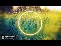 Morning GOOD MOOD Booster Wake Up Relax Music Binaural Beats Flow Meditation