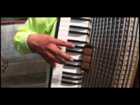 Jimmy Gutierrez  -  Patron de patrones