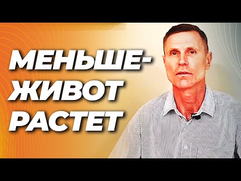 Ем меньше — живот растёт. Почему после 40 это происходит.