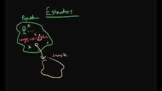 Estimators - the basics