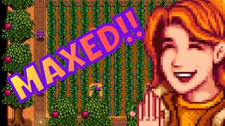 OPTIMIZE YOUR GREENHOUSE - Stardew Valley - MAX FARM Episode #2