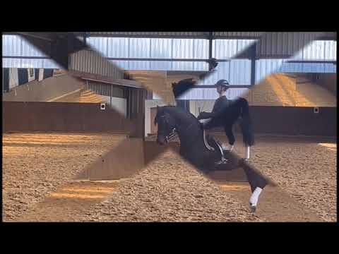 Shizeido - Trainingsimpressionen, März 2022