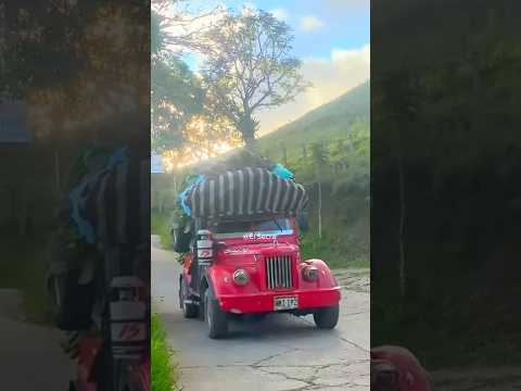 ¡Cargado a 2.000 kilos en Llano Grande! 🚛💪