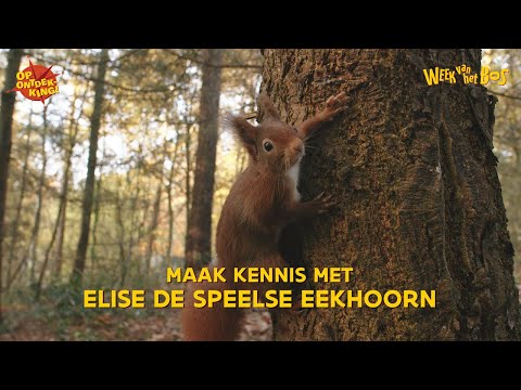 Week van het Bos - Onze Natuur | Elise de Speelse Eekhoorn
