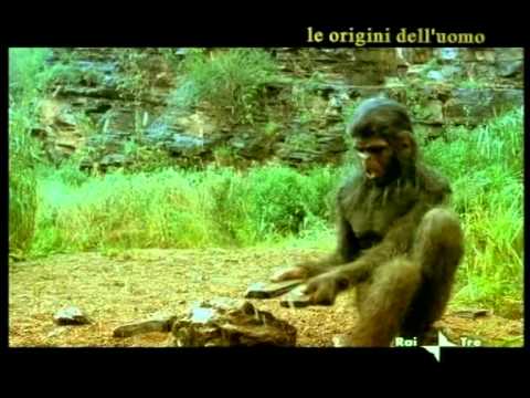 Medicine di vermi di galline Vermi veterinari a un gatto