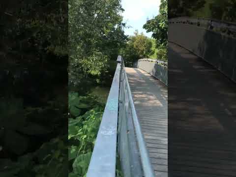 17.06.2023 Graveln im Umland von Hildesheim