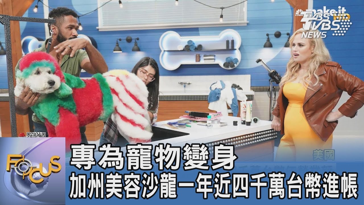 專為寵物變身　加州美容沙龍一年近四千萬台幣進帳
