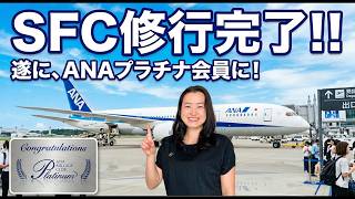 やっと獲得できた！プラチナステータスへの最終フライト