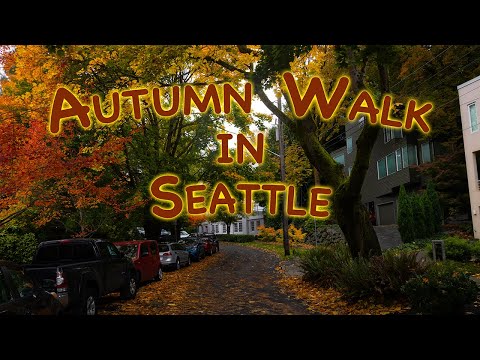 What Does Seattle Look Like in Autumn: An 11-mile walk around the many neighborhoods of Seattle
