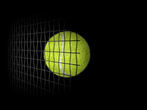 🎾 DualDynamics | Less Pain More Gain