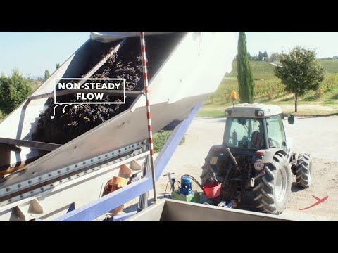 Dionysos: optical sorting machine for grapes | RAYTEC VISION SpA