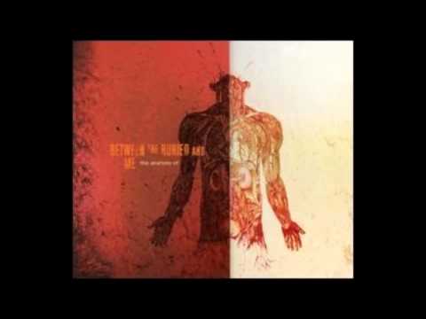 The Anatomy Of - Between The Buried And Me - Full Album - BTBAM - Full 1hr11min