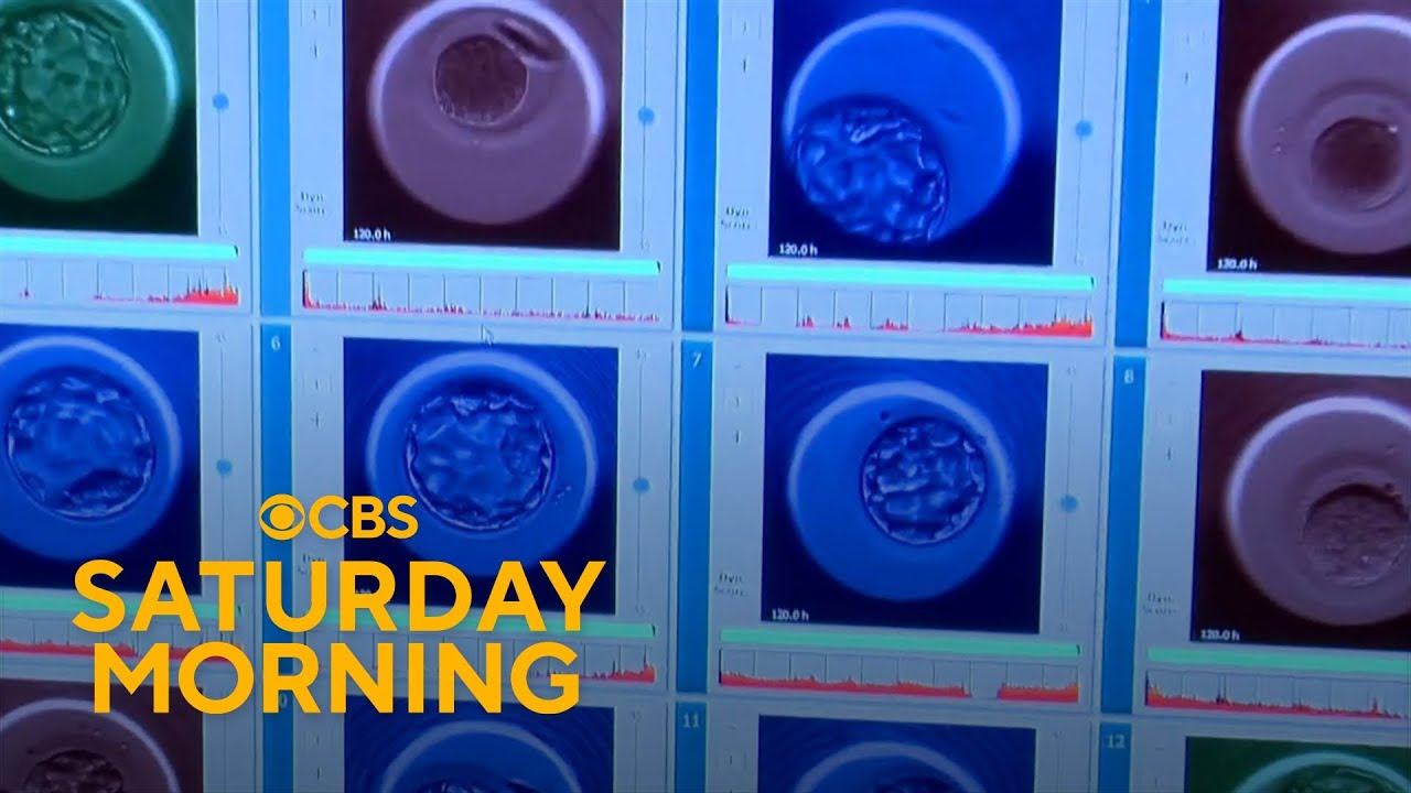 New embryo testing company says it can predict lifespan, height and IQ of potential children