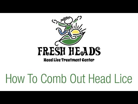 How To Comb Out Head Lice | Fresh Heads Lice Removal