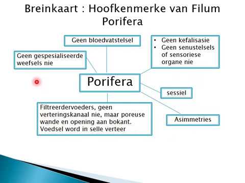 LEWENSWETENSKAP GRAAD 11: 22 April 2020 - periode 7 (22117)