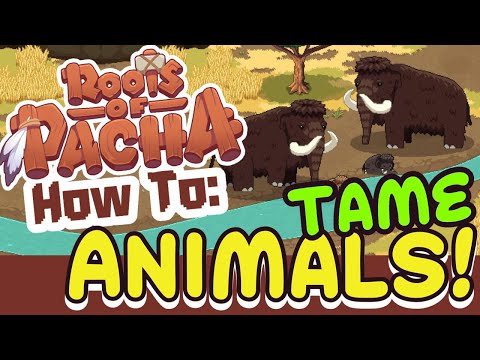 Roots of Pacha How to Tame Animals