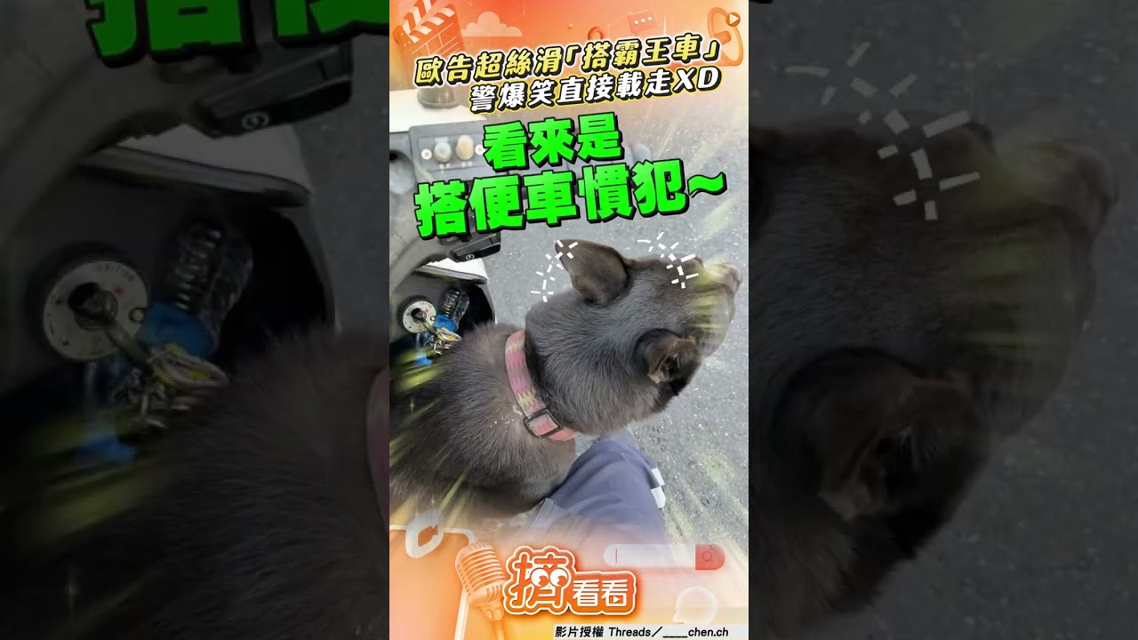 影音/歐告超絲滑「搭霸王車」!警被發「兜風邀請」直接載走