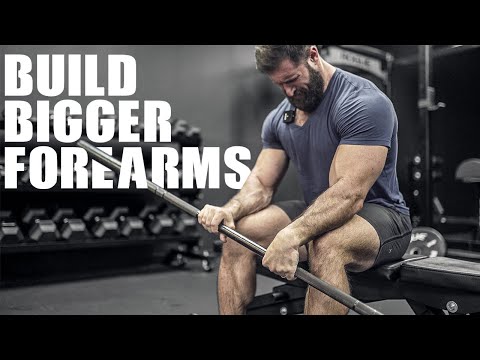How To Build BIGGER FOREARMS (6 INTENSE EXERCISES!)