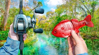 I Discovered A HIDDEN Lagoon FULL Of Trophy Bass!