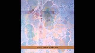 Tekufah - Wayne Horvitz & Zony - John Zorn