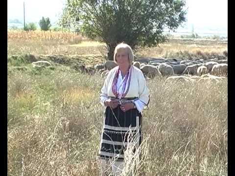 Stojna Kitanova - Ovci pase deli Magdelena (evergreen evergrin)