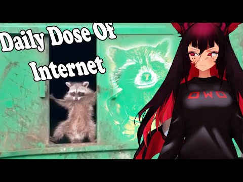 Trickywi Reacts | Daily Dose Of Internet | Try Not To Laugh