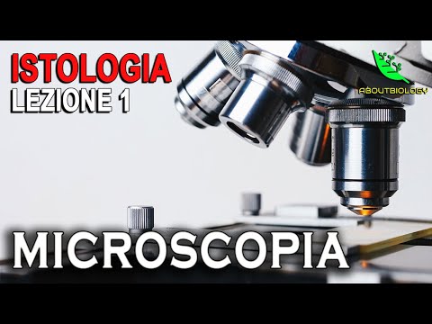 Nozioni FONDAMENTALI di MICROSCOPIA OTTICA    -ISTOLOGIA Lezione 1