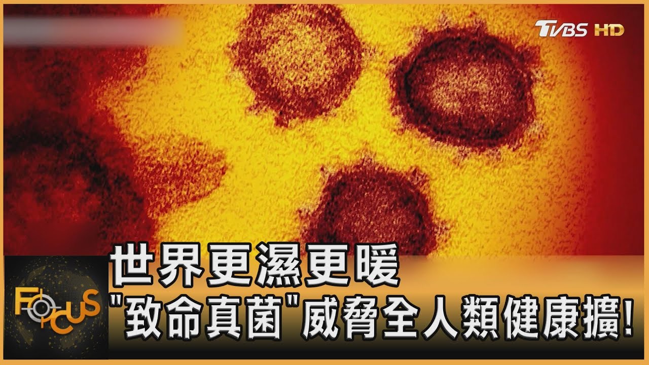 世界更濕更暖! 「致命真菌」威脅全人類健康