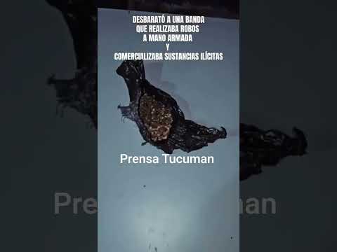 ALLANAMIENTOS CLAVE EN BANDA DEL RÍO SALÍ Y CAPITAL CON DROGA Y ELEMENTOS ROBADOS