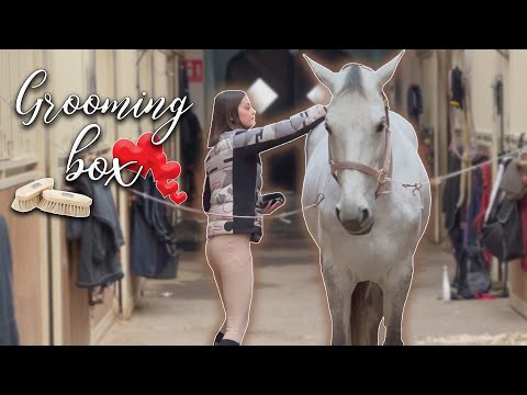 GROOMING ROUTINE of my HORSES ❤