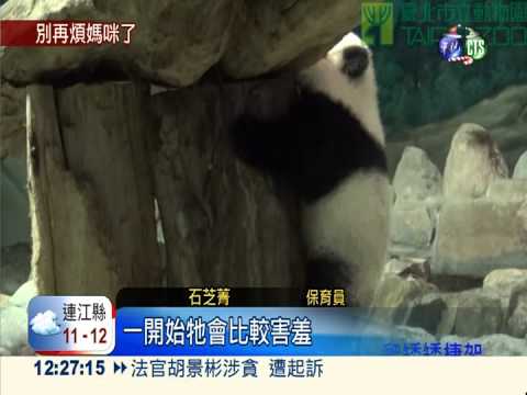 圓仔新寶貝! 旋轉玩具.木馬曝光