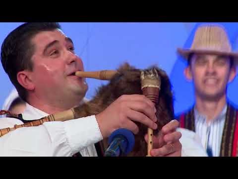 GELU VOICU -  PARADA INSTRUMENTELOR -  FAMILIA FAVORIT  (ianuarie 2024)